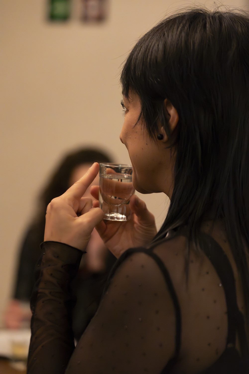 16_Mezcal_33_Producto_Ivan_de_la_Luz_Proyecto